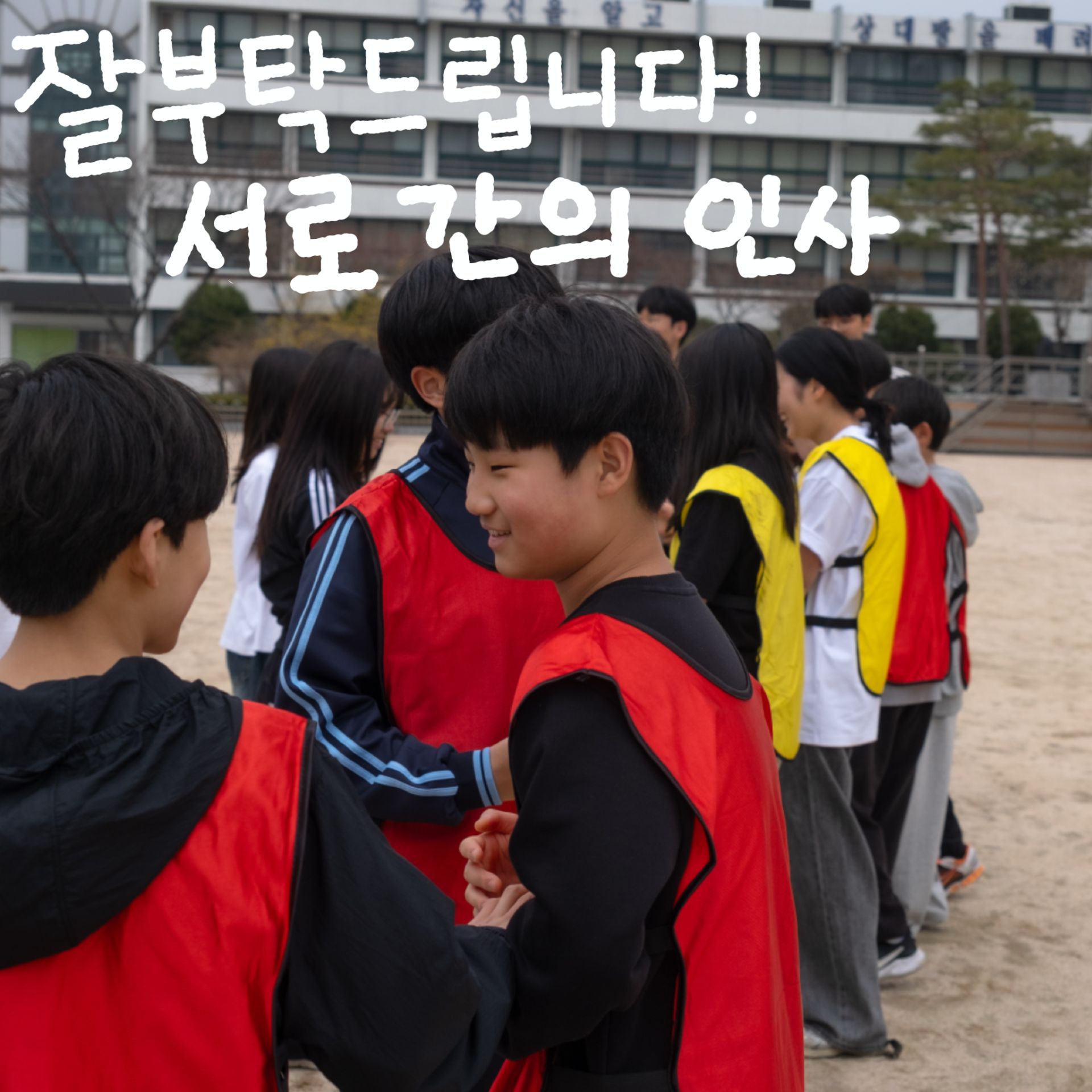 미디어 81